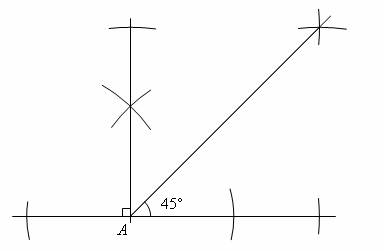 Angle bisector of straight angle also act as bisector of the rays