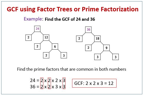 Factor Trees - Elementary Math - Steps, Examples & Questions