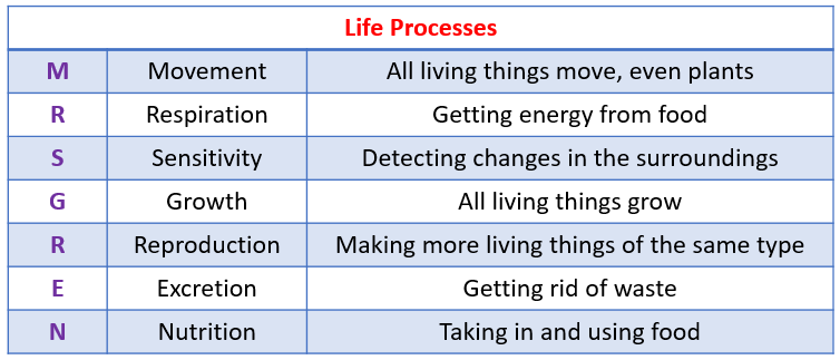 7 life processes of living things