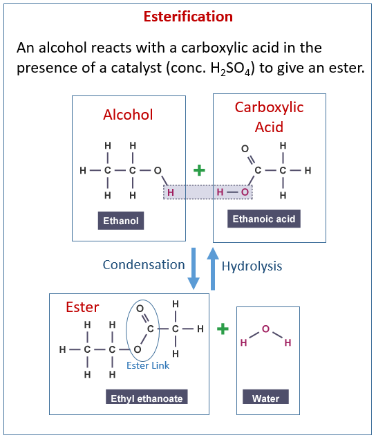 Carboxylic Acids Easy Exam Revision Notes For Gsce Chemistry