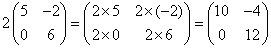 scalar and matrix multiplication assignment