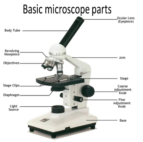 parts of a microscope worksheet answers