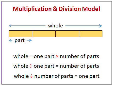 Multiplication Division Model