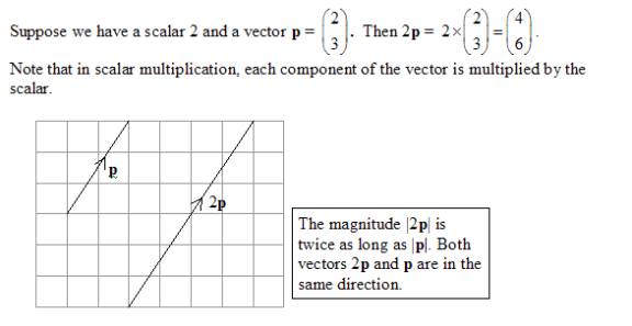 multiply a scalar with vector code