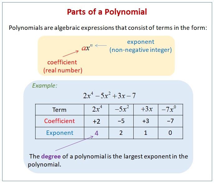 Polynomial Chart