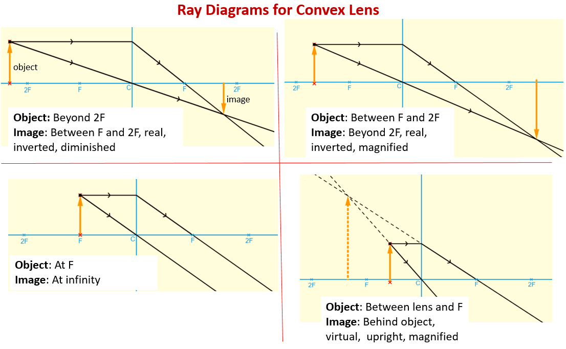 Convex Lenses and Ray Diagrams (examples, solutions, videos, notes)