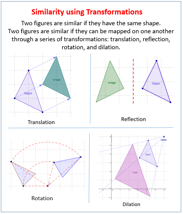 Congruent Shapes - GCSE Maths - Steps, Examples & Worksheet