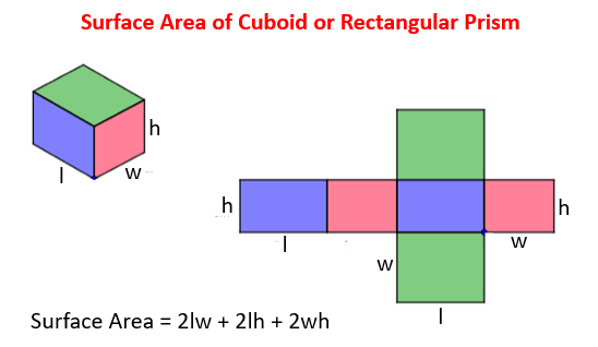 How to Calculate and Solve for the Area, Length, Width and Height of a  Cuboid
