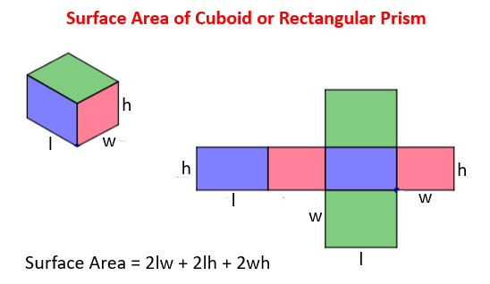 Surface Area Of Cuboid Formulas Of TSA And CSA (LSA), Examples ...