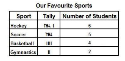 What Does A Tally Chart Look Like