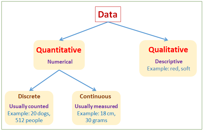 Qualitative Quantitative Data examples Solutions Worksheets 